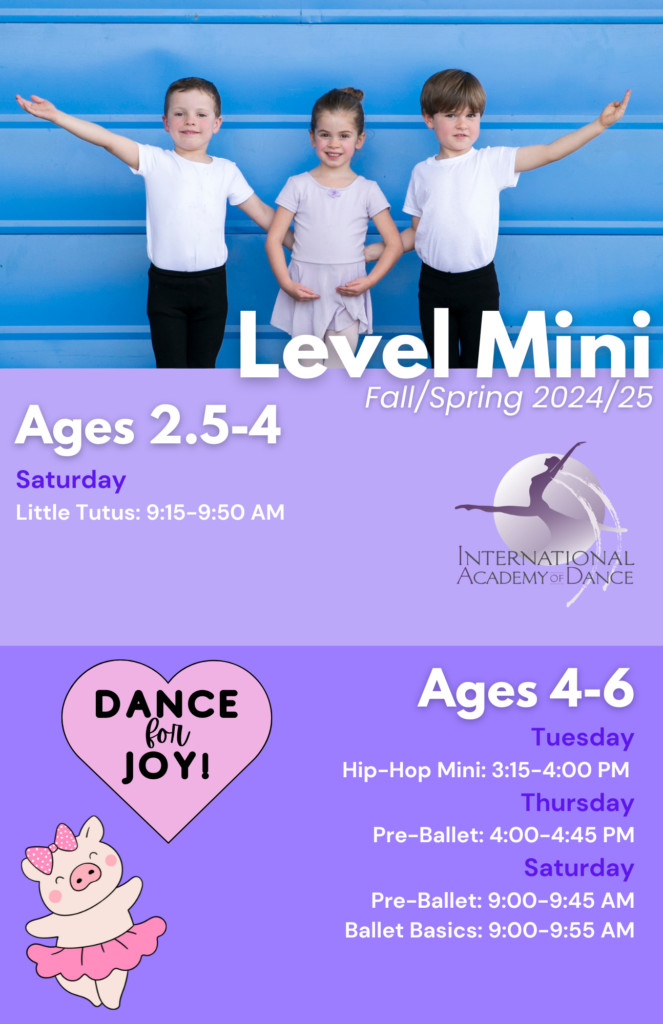 Dance Classes Level Mini